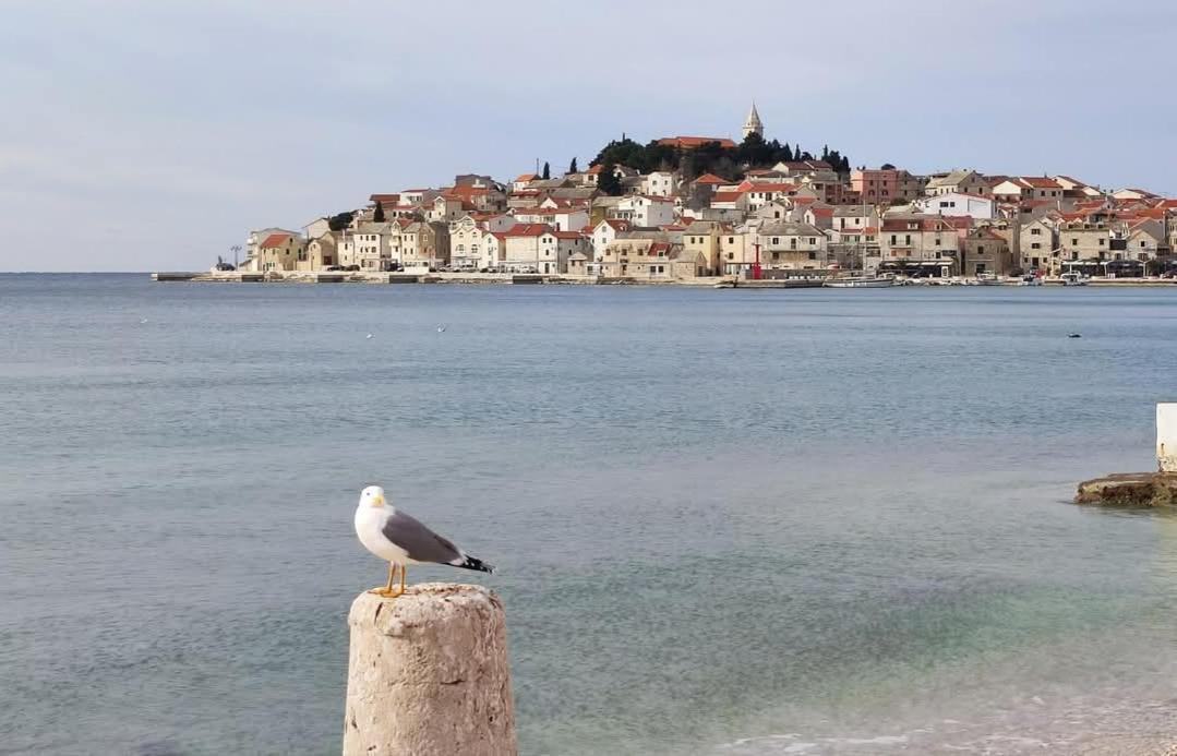 Villa Eni Primosten Bagian luar foto